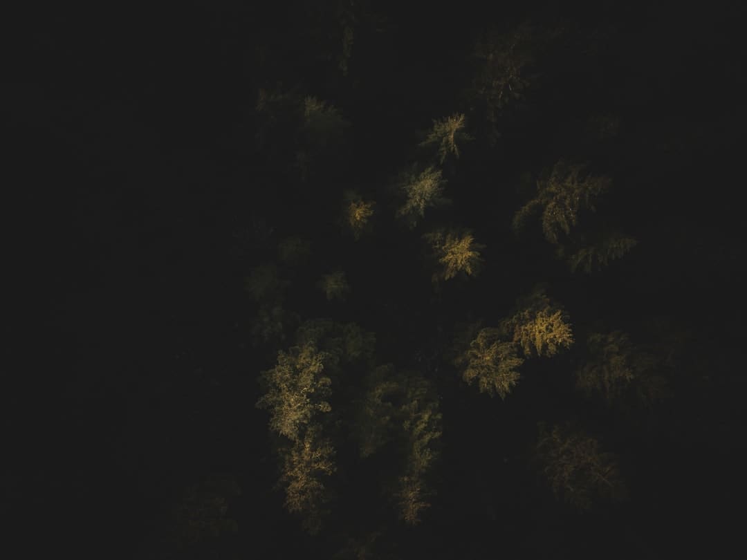 商业头条No.90